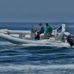 Top Line S 22 – Νew Υamaha 2.8L F200G